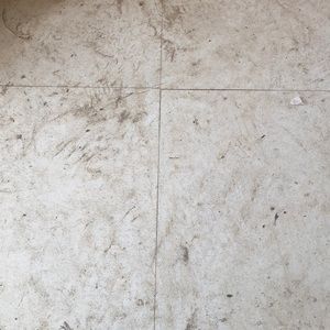 Meet your Posher, Trenton